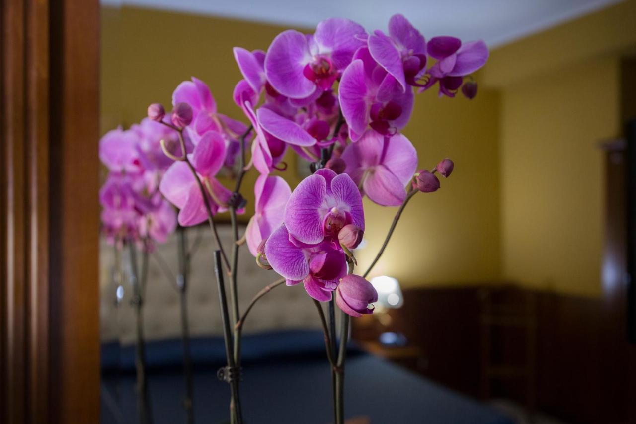 Hotel San Michele Milazzo Dış mekan fotoğraf